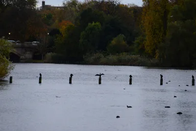 DSC_0553 (Large).JPG